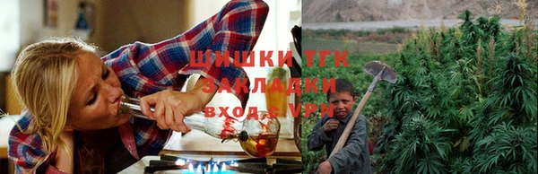 эйфоретик Арсеньев